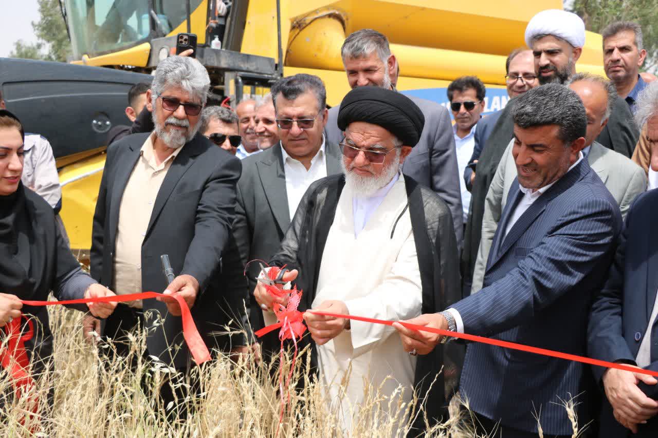 پیش‌بینی برداشت ۱۵۰ هزار تن گندم و ۱۴ هزار تن کلزا در دهلران